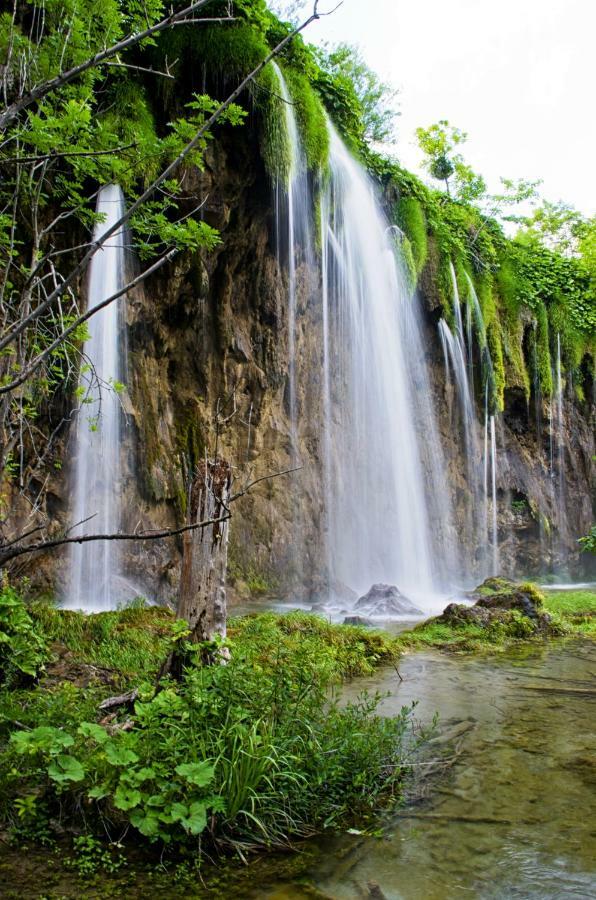 Plitvička Jezera Up27 Suites Plitvice מראה חיצוני תמונה